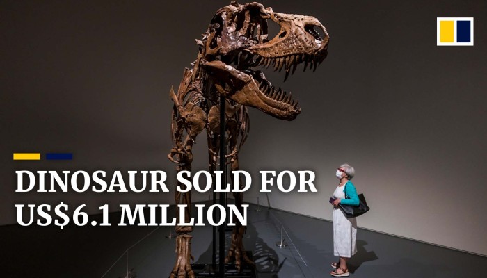 Rare Dinosaur Skeleton Sells For Us 6 1 Million At Auction In New York